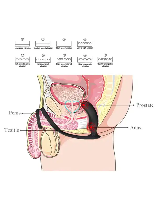 #7837 - NOXXX Halo Penis Halkalı Prostat ve Şarjlı Anal Masaj Vibratörü