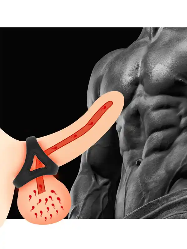 #8341 - NOXXX Penis ve Testis Halkası